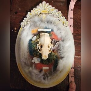Decorative Mink Skull Wall Art